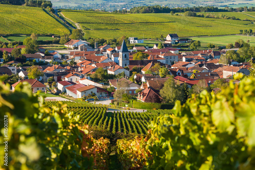 Baroville, Champagne vineyards in the Cote des Bar area of the Aube departm