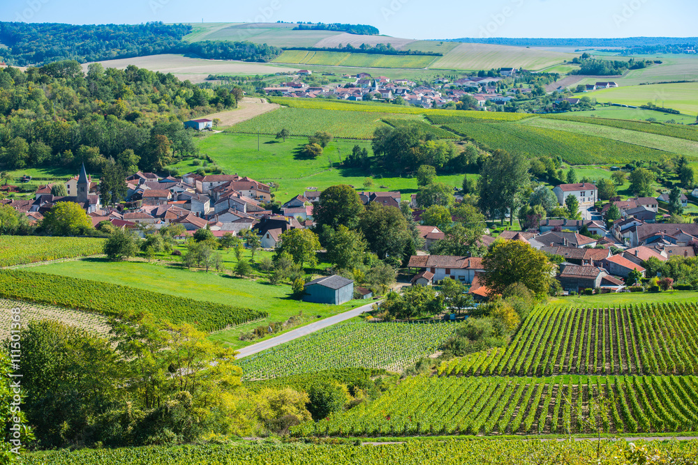 Naklejka premium Baroville, Champagne vineyards in the Cote des Bar area of the Aube departm