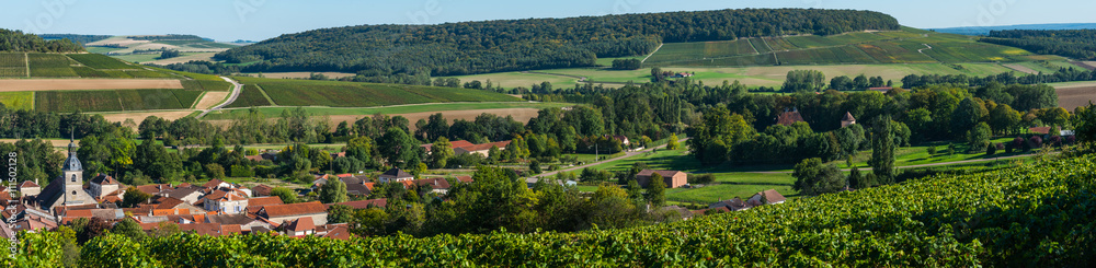 Baroville, Champagne vineyards in the Cote des Bar area of the Aube department Les Riceys