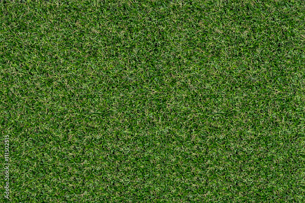 Obraz premium Green grass texture