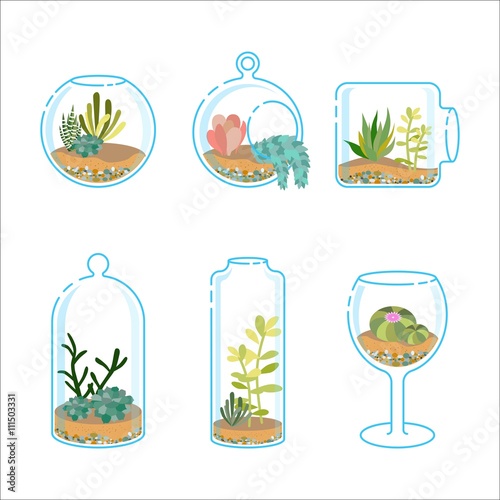 Set of flat florariums with different succulents and cactus for design modern interior. Plant in a glass aquarium. Vector illustration isolated on wight background