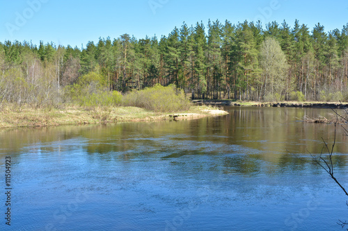 River spring landscape.