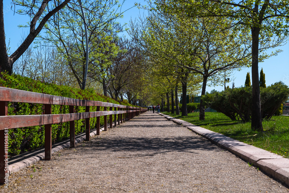 Pathway in Park