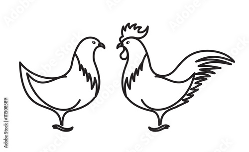 Chicken and rooster vector illustration