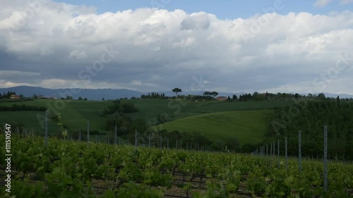 timelapse view of tuscan grass blowing in the wind photo