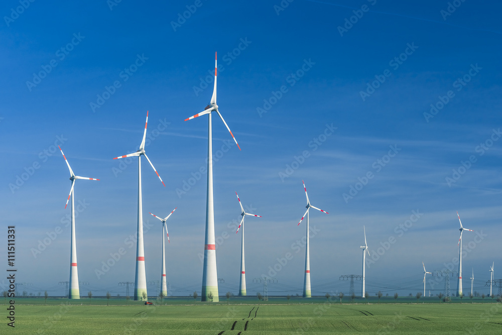 Windpark auf  Getreideacker im Frühjahr