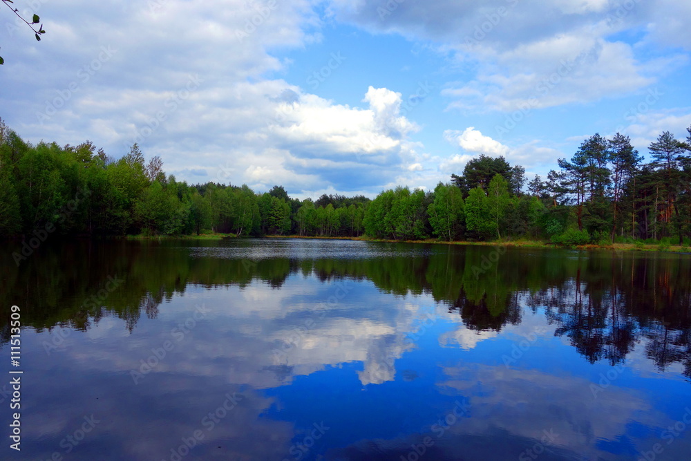 tranquil lake with cloudy sky reflections on water and green forest