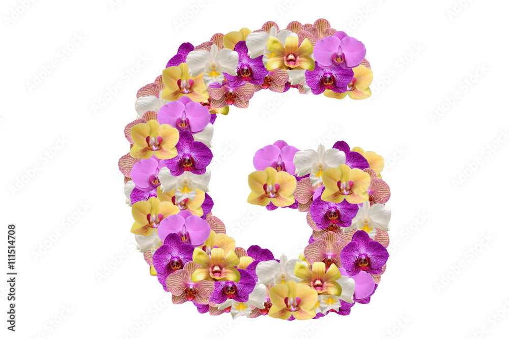 Letter g made of flowers