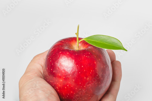 Hand holding red apple on white background