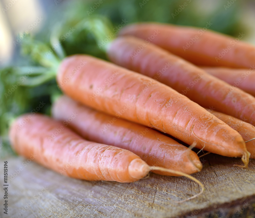 Fresh carrots bunch on rustic wooden background Fresh carrots bunch on rustic wooden background