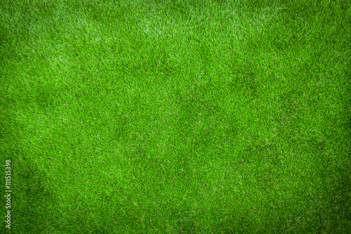 Green lawn