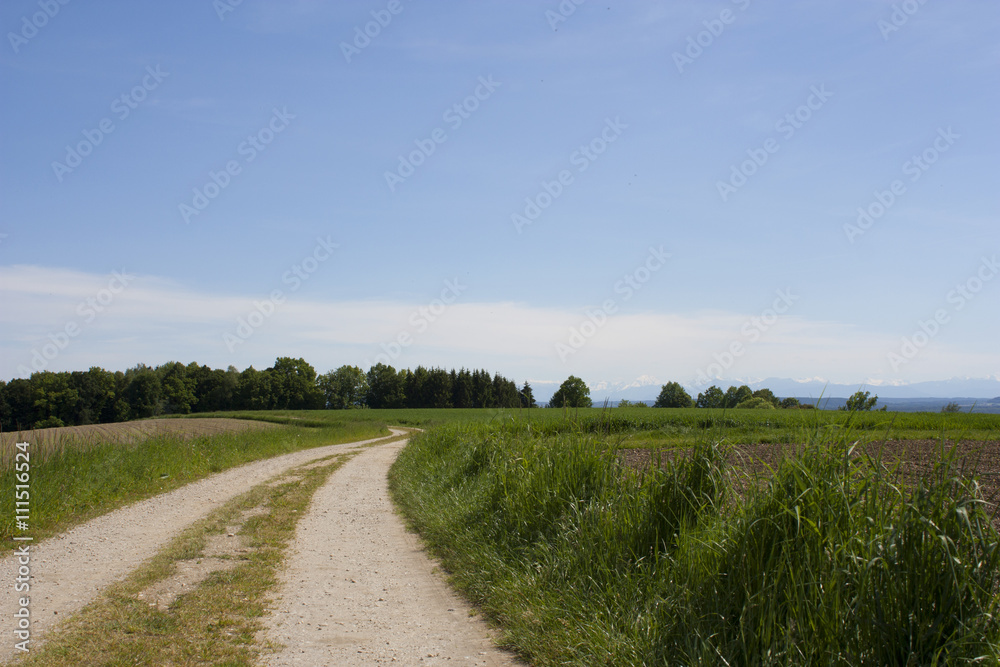 Ein Weg zwischen Feldern und Wälder unter blauem Himmel