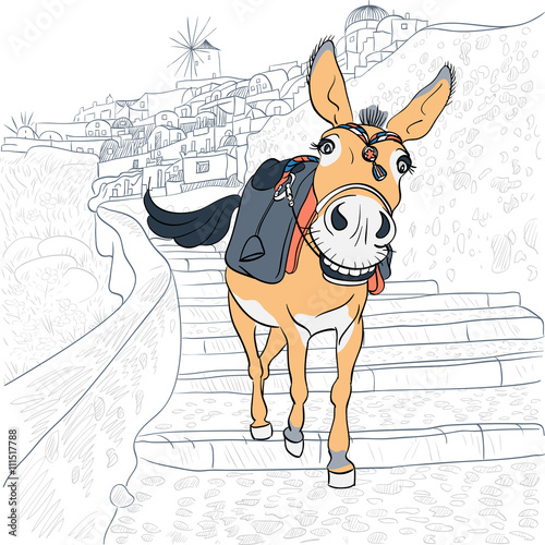 Donkey in the village of Oia, Santorini, Greece