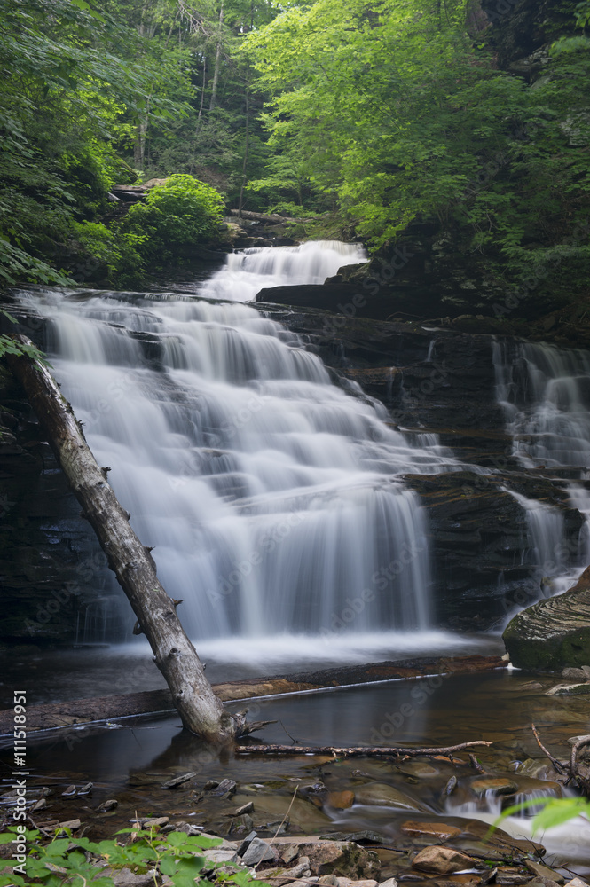 Obraz premium A long exposure of a waterfall scene in a forest of green trees.