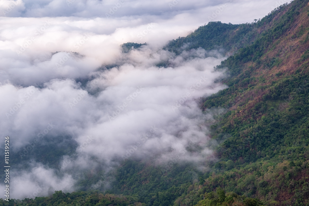Landscapes on the peak of mountain and Mist at Phu chi fa in Chi Landscapes on the peak of mountain and Mist at Phu chi fa in Chi