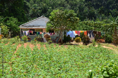 Kubanischer Kleinbauernhof