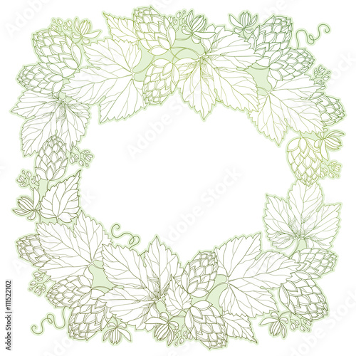 Wallpaper Mural Vector frame with ornate Hops or Humulus. Cones and leaves in pastel isolated on white. Outline Hops for beer and brewery decor. Herbal elements in contour style for decoration and coloring book.  Torontodigital.ca