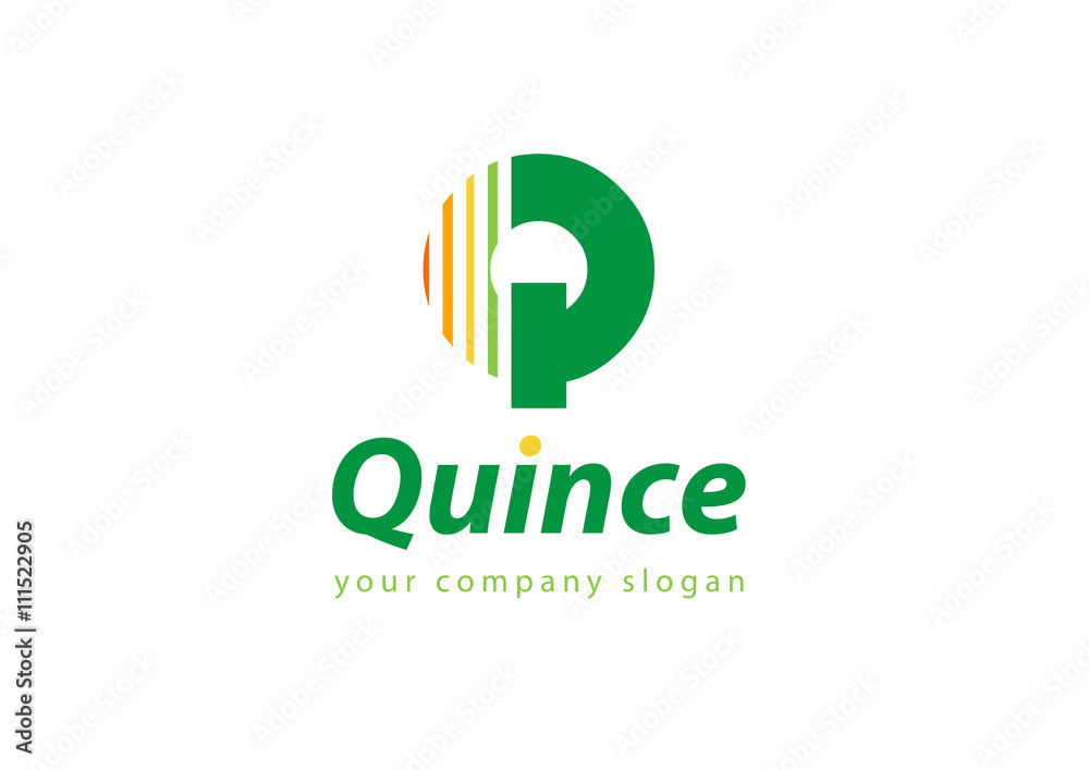 letter Q logo Template for your company letter Q logo Template for your company