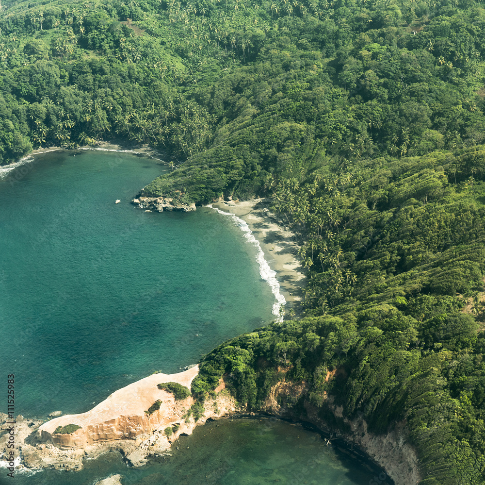 aerial of jungle, coast and ocean in Dominica
