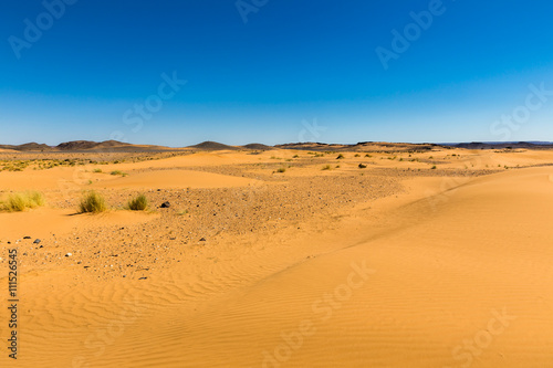 sand dune with grass