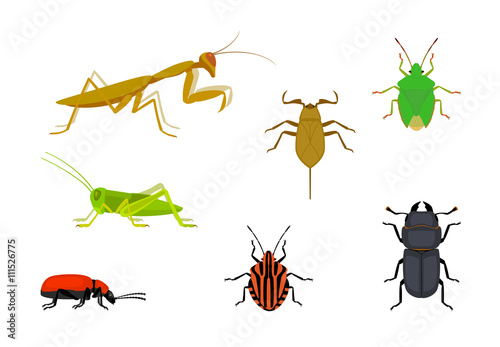 set of european insects