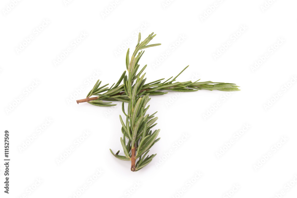 Fototapeta premium rosemary isolated on white background