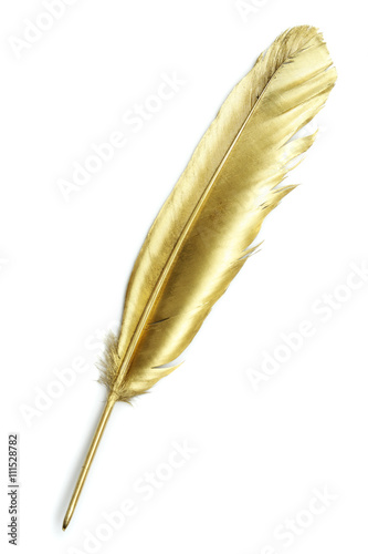 Gold quill photo