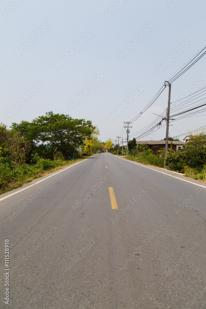 the new countryside asphalt road with electric pole, street lamp and tree
