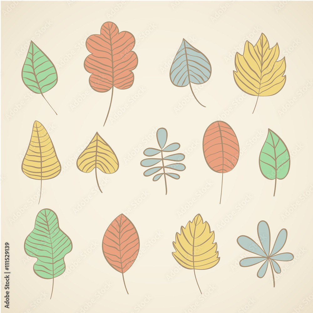 vector set of autumn leave drawn design elements