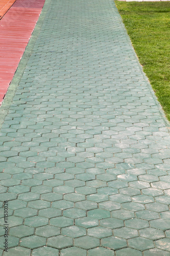Stone walkway in garden

