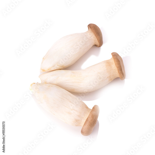 King Oyster mushroom (Eringi) on white backgroud