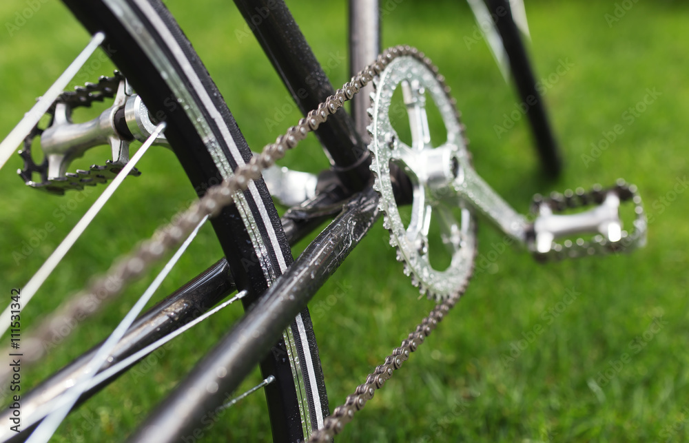 Obraz premium Classic road bicycle close-up photo in the summer green grass meadow field. Travel background