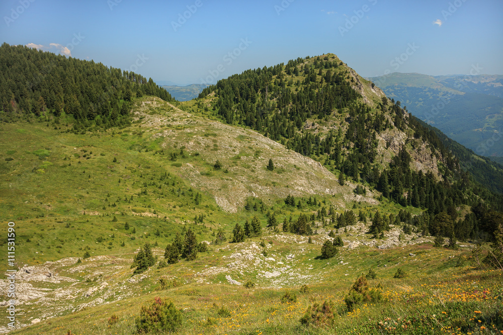 Serene View of Landscape in Visitor Mountains, Montenegro