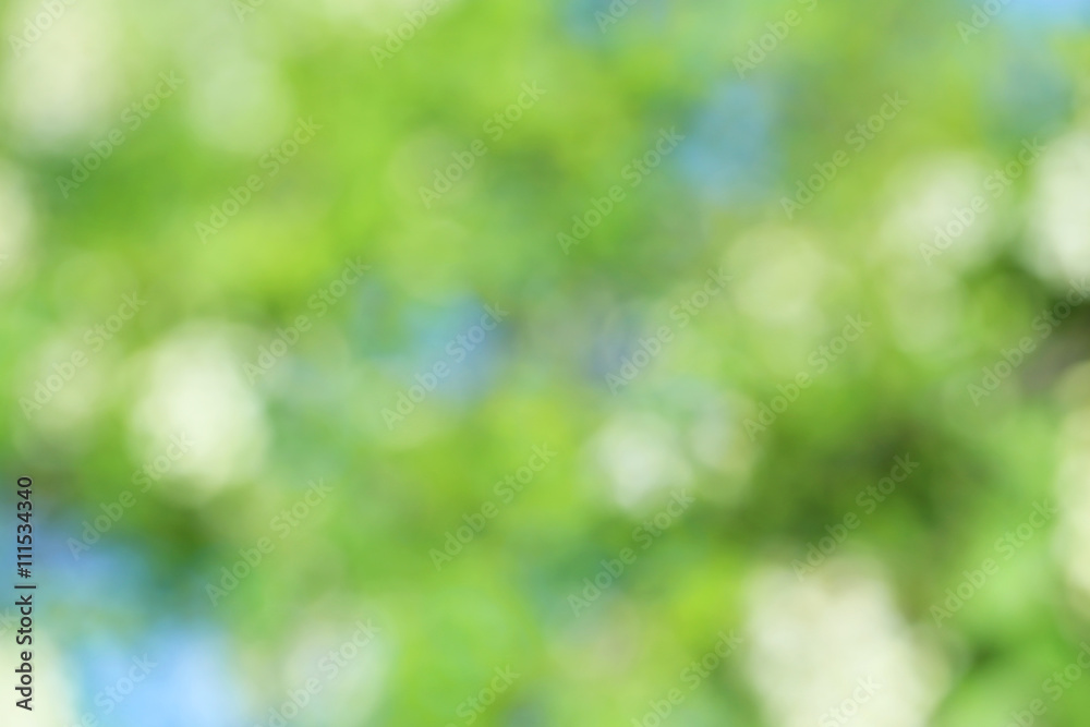 Abstract green nature background, bokeh
