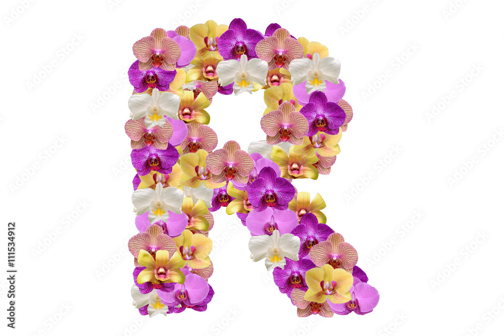 Letter r made of flowers