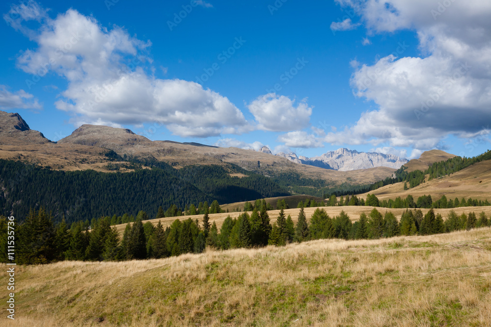 Italian Alps panorama Italian Alps panorama