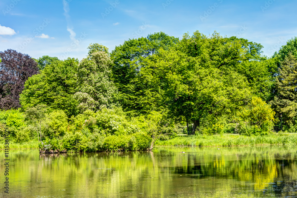 Fototapeta premium Fürst Pückler Park Bad Muskau