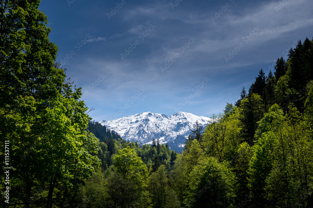 Alpin Landscape