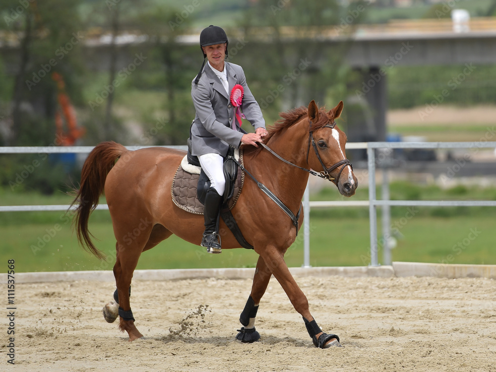 show jumping show jumping