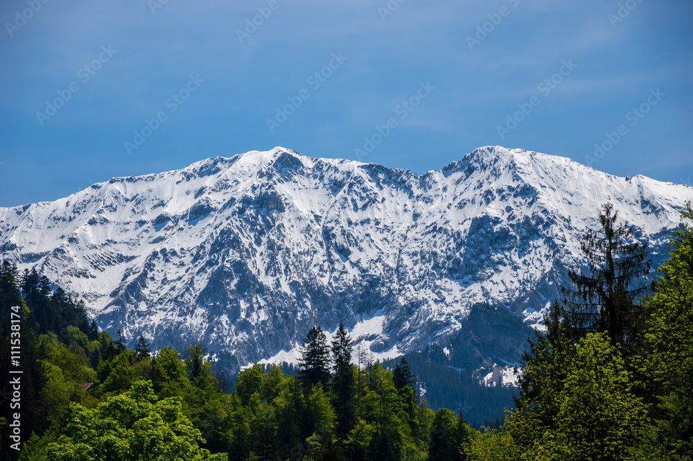 Alpin Landscape