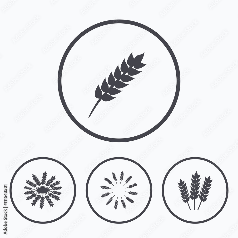 Agricultural icons. Gluten free symbols. Agricultural icons. Gluten free symbols.