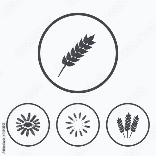Agricultural icons. Gluten free symbols. photo