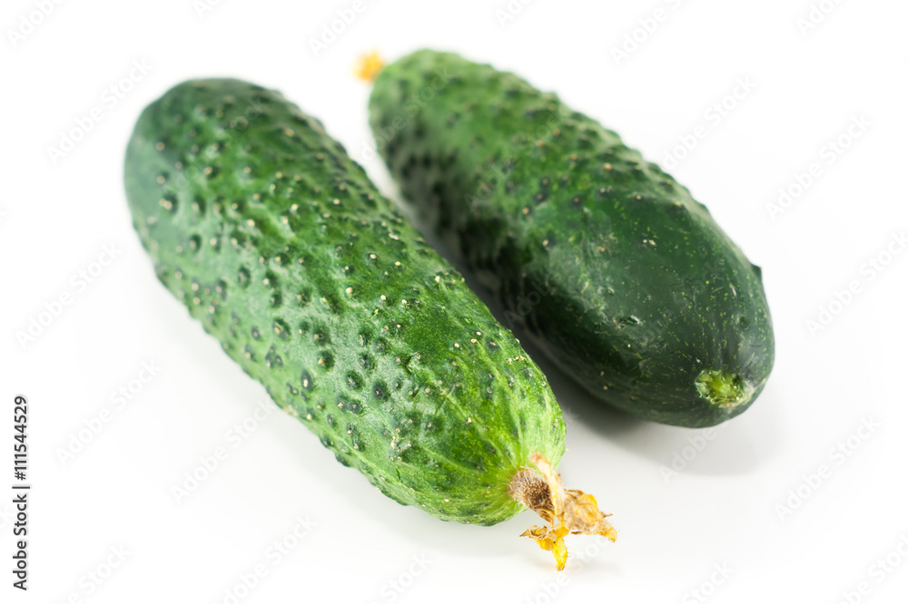 Cucumber isolated on white background Cucumber isolated on white background
