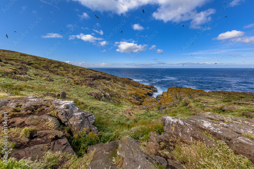 Isle of May landscape Isle of May landscape