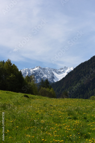 paesaggio di montagna estate primavera prateria cime innevate vacanza montagna panorama © franzdell