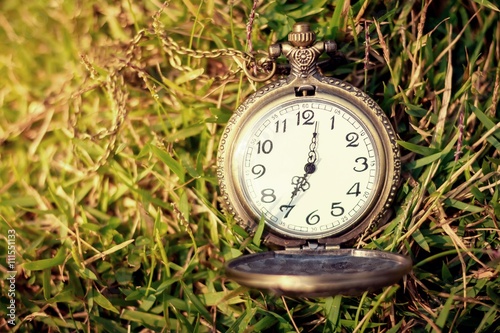 Vintage pocket watch with green grass