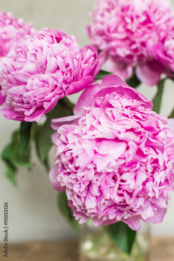 Obraz premium lush pink peonies in vase