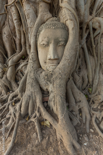 Stone head of the sandstone Buddha covered by roots of Bodhi tree at Wat Mahathat, Ayutthaya, Thailand © restimage