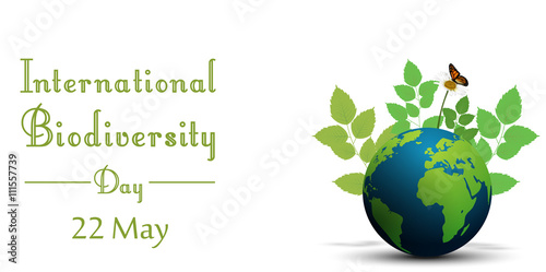 Ribbon shape with leaves and butterflies on earth for international biodiversity day