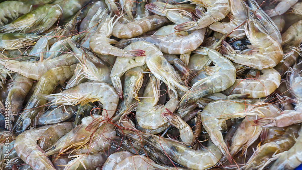 Shrimp at street food